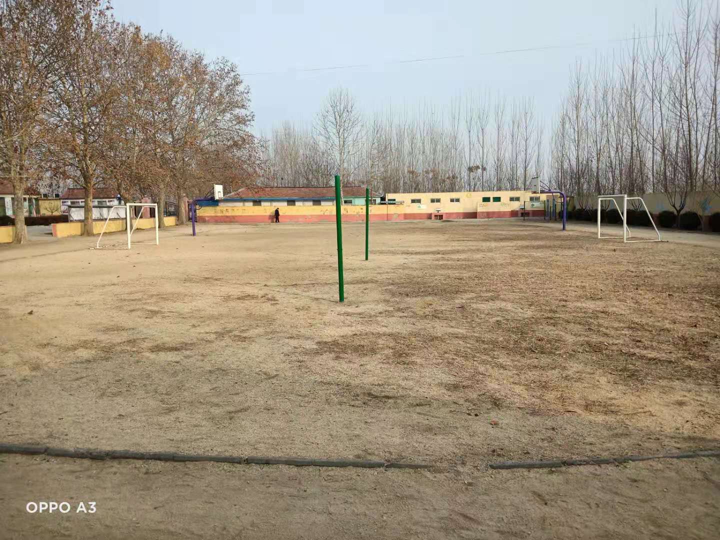 第209所 平度市崔家集镇状元府星空在线手机版(大中国区)刘丽新小学